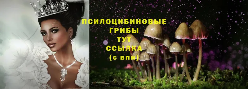 Псилоцибиновые грибы Magic Shrooms  где найти наркотики  Болгар 